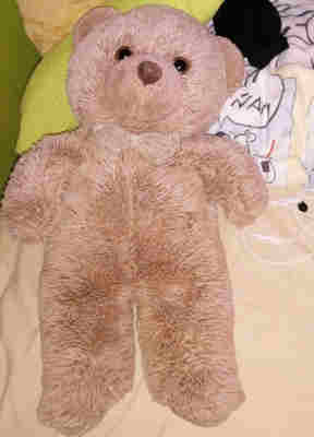 Teddy bear (image)