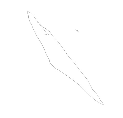 Nematode sketch (test)