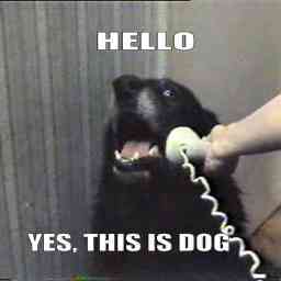 Hello. Yes, this is dog.