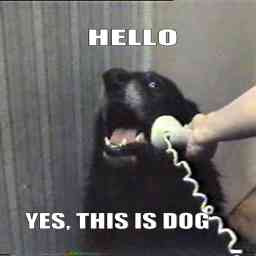 Hello. Yes, this is dog.